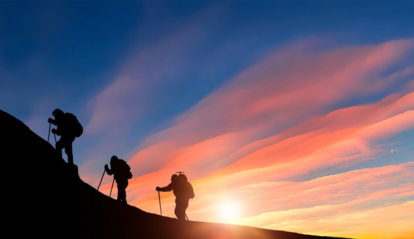 構建卓越集團管控體系：核心要素、策略與路徑