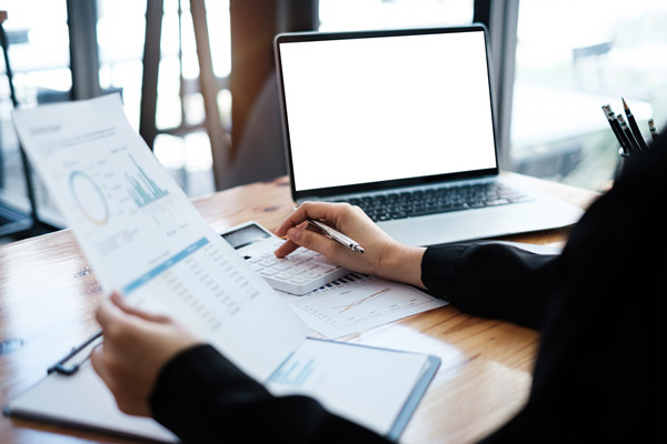 預算監(jiān)控與調整機制如何建立，確保預算執(zhí)行到位？