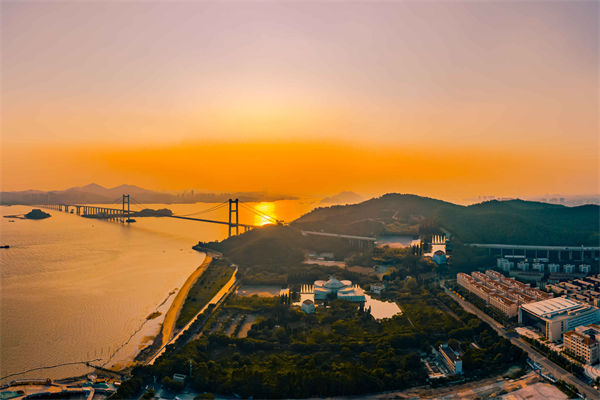 東莞供應鏈咨詢公司如何優(yōu)化企業(yè)供應鏈流程？