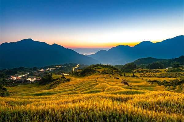 麗水組織規(guī)劃咨詢公司如何為企業(yè)構建高效組織架構？