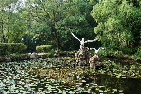 株洲預(yù)算管理咨詢公司如何為企業(yè)打造精準(zhǔn)預(yù)算管理體系？