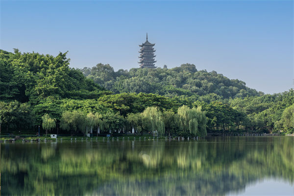 如何評(píng)估佛山集團(tuán)管控咨詢公司的服務(wù)質(zhì)量和效果？