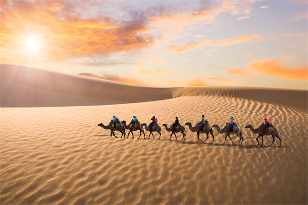 企業(yè)文化管理失效？這三大認(rèn)知誤區(qū)為何拖垮團隊？