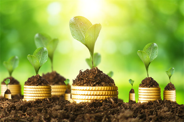 預(yù)算管理咨詢公司如何幫助企業(yè)破解資金錯配問題？