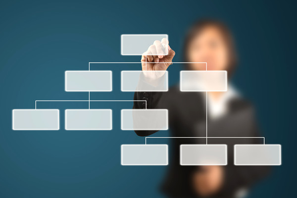 哪家組織規(guī)劃咨詢公司落地最好，能搭建適配發(fā)展的組織體系？